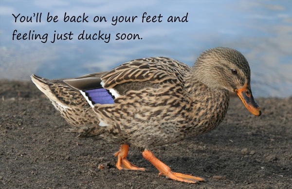 Get Well (Duck)